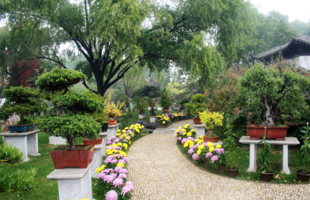 邵阳天然盆景园