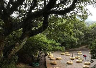 舟山里沙生态园