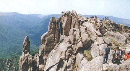 忻州芦芽山石壁