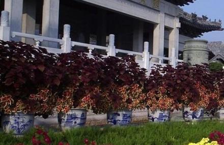 威海刘公岛博览园