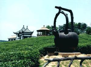常州绣球岛