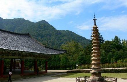 普洱小黑江森林公园