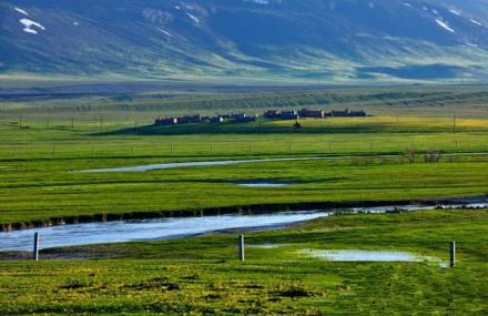 阿勒泰黑流滩大草原