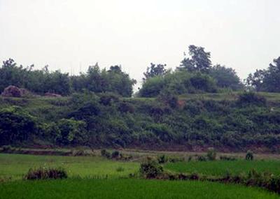 荆州走马岭遗址