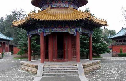 焦作花地岗遗址