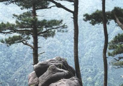 抚州老虎脑自然保护区