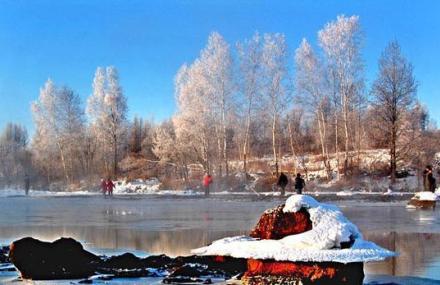 伊春带岭动植物资源馆