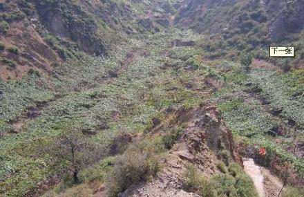 太原清徐葡峰山庄