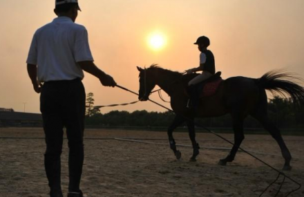 广州英姿马术俱乐部