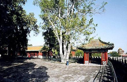 红河攀枝花观音寺