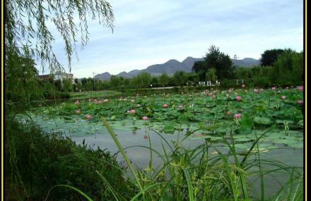 哈尔滨莲花湖公园