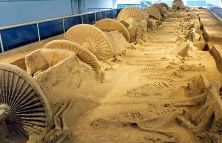 西安沣西车马坑