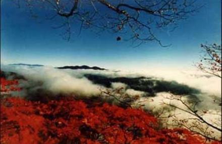 本溪老秃顶自然保护区