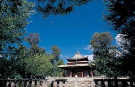 日喀则贡觉林卡