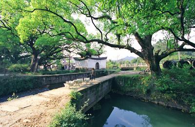 丽水通济堰