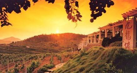 青岛华东葡萄酒庄园