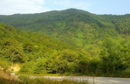 广州增城金坑森林公园