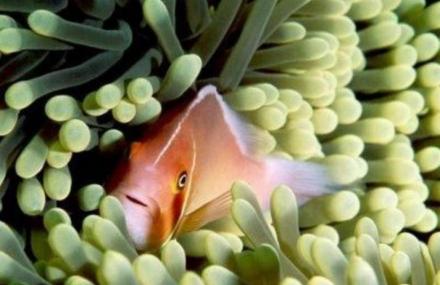 秦皇岛山海关海洋水族馆