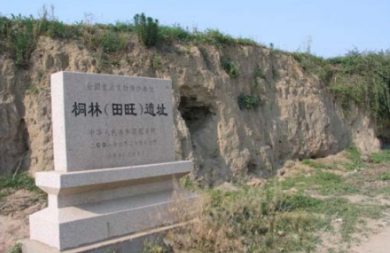 淄博桐林田旺遗址