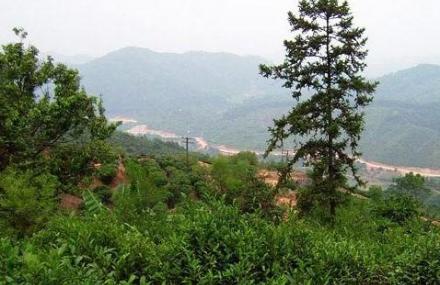 钦州石瓯山生态景区