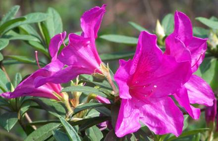 柳州马鞍山公园