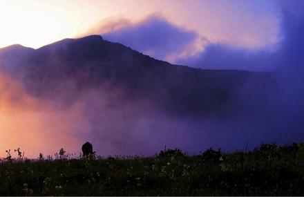 大同野生动植物游乐观光园