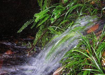 郴州翡翠谷瀑布群景区