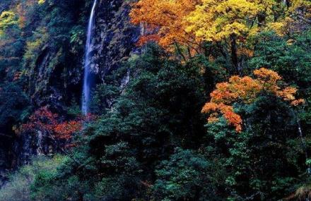 阿坝州正河沟银龙峡谷