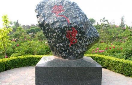 洛阳牡丹石