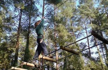 北京顺义快乐猩猩树上穿越公园