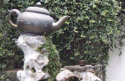 杭州龙井问茶