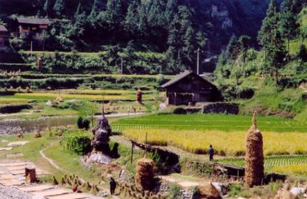 黔东南郎德上寨