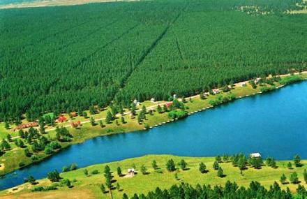 呼伦贝尔红花尔基樟子松国家森林公园