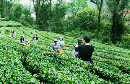 宜春金田龙象渡假景区