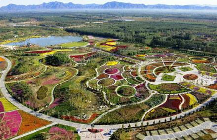 北京草莓采摘节