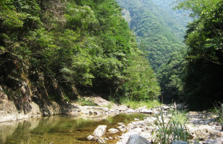 温州楠溪江源头