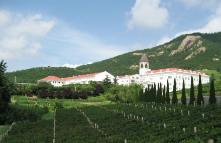 青岛华东百利酒庄