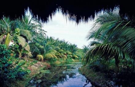 广州云溪生态公园