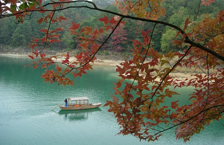 杭州金山湾