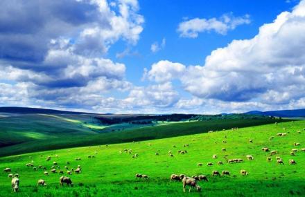 赤峰白音乌拉游牧文化区