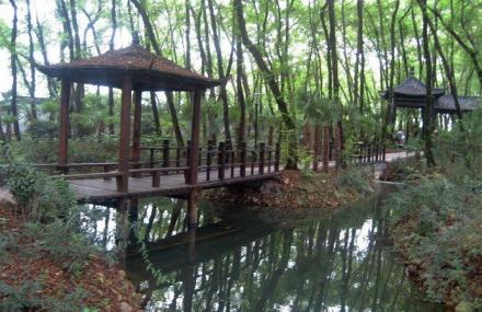 南昌相思林公园