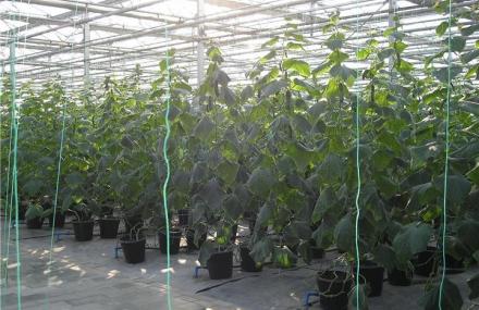 咸阳杨凌现代农业创新园