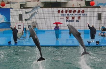 青岛海洋公园
