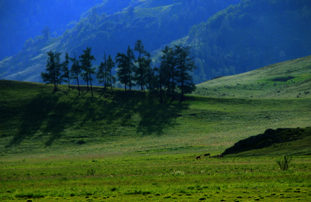 阿勒泰绿苑公园