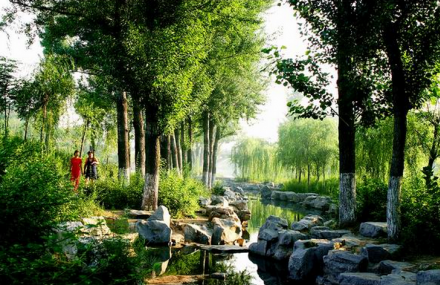 济南桃花山公园