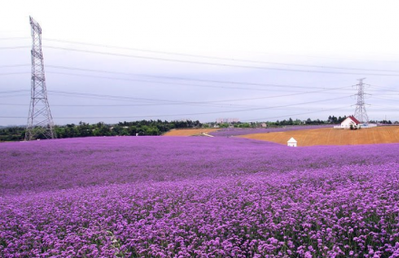 成都紫颐香薰山谷
