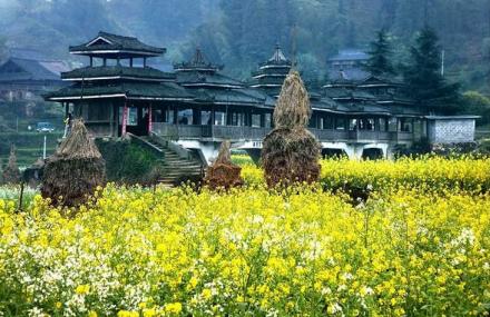 柳州大桥农业旅游区