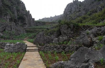 黔西南泥凼石林