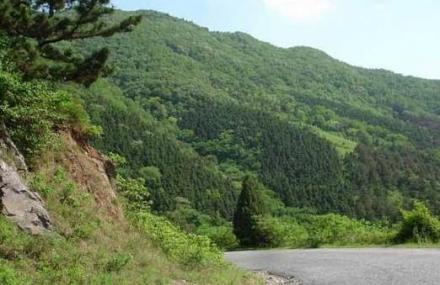 淄博文峰山公园