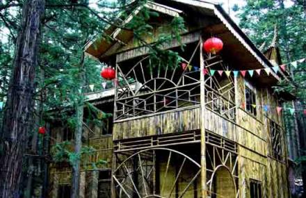 毕节赫章国家森林公园